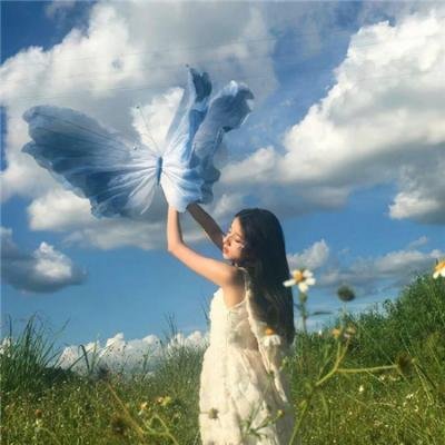 有情方证无情道